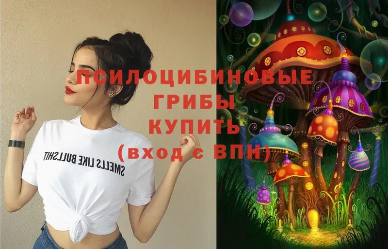 Галлюциногенные грибы Magic Shrooms  Югорск 